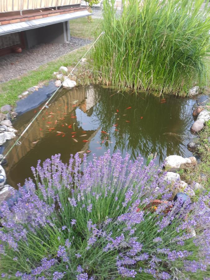 Ferienwohnung Hilgert Sankt Sebastian 外观 照片